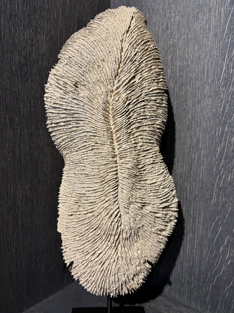 NU PUUR & GROEN Korallen-Polyresinbraun - Groß NU PUUR & GROEN Korallen-Polyresinbraun - Groß