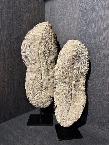 NU PUUR & GROEN Korall polyresin brun - Liten NU PUUR & GROEN Korall polyresin brun - Liten