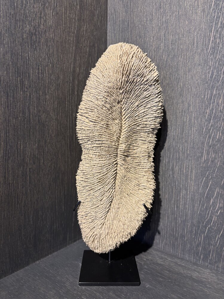 NU PUUR & GROEN Korall polyresin brun - Liten NU PUUR & GROEN Korall polyresin brun - Liten