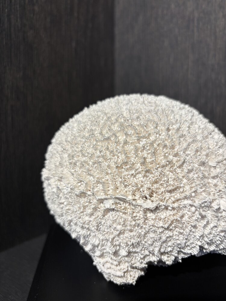 NU PUUR & GROEN Kulekorall polyresin NU PUUR & GROEN Kulekorall polyresin