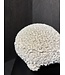 NU PUUR & GROEN Ball coral polyresin