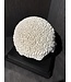 NU PUUR & GROEN Ball coral polyresin