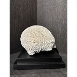 NU PUUR & GROEN Kulekorall polyresin