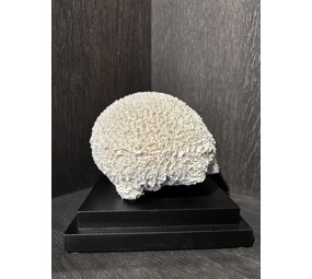 NU PUUR & GROEN Palla di corallo in poliresina NU PUUR & GROEN Palla di corallo in poliresina