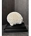 NU PUUR & GROEN Ball coral polyresin