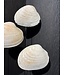 NU PUUR & GROEN Natürliche Muscheln - 3er-Set
