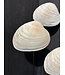 NU PUUR & GROEN Coquillages naturels - Lot de 3