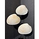 NU PUUR & GROEN Natural shells - Set of 3 NU PUUR & GROEN Natural shells - Set of 3