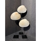 NU PUUR & GROEN Naturlige skjell - Sett med 3