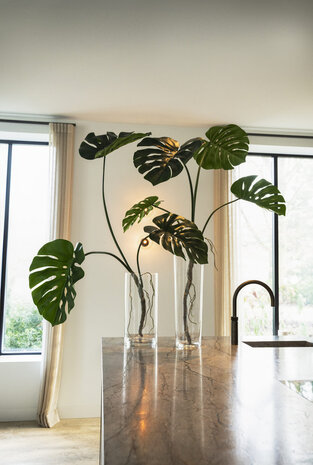 Silk House Ramo di Monstera | 120 cm