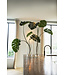 Silk House Monstera Tak | 120 cm