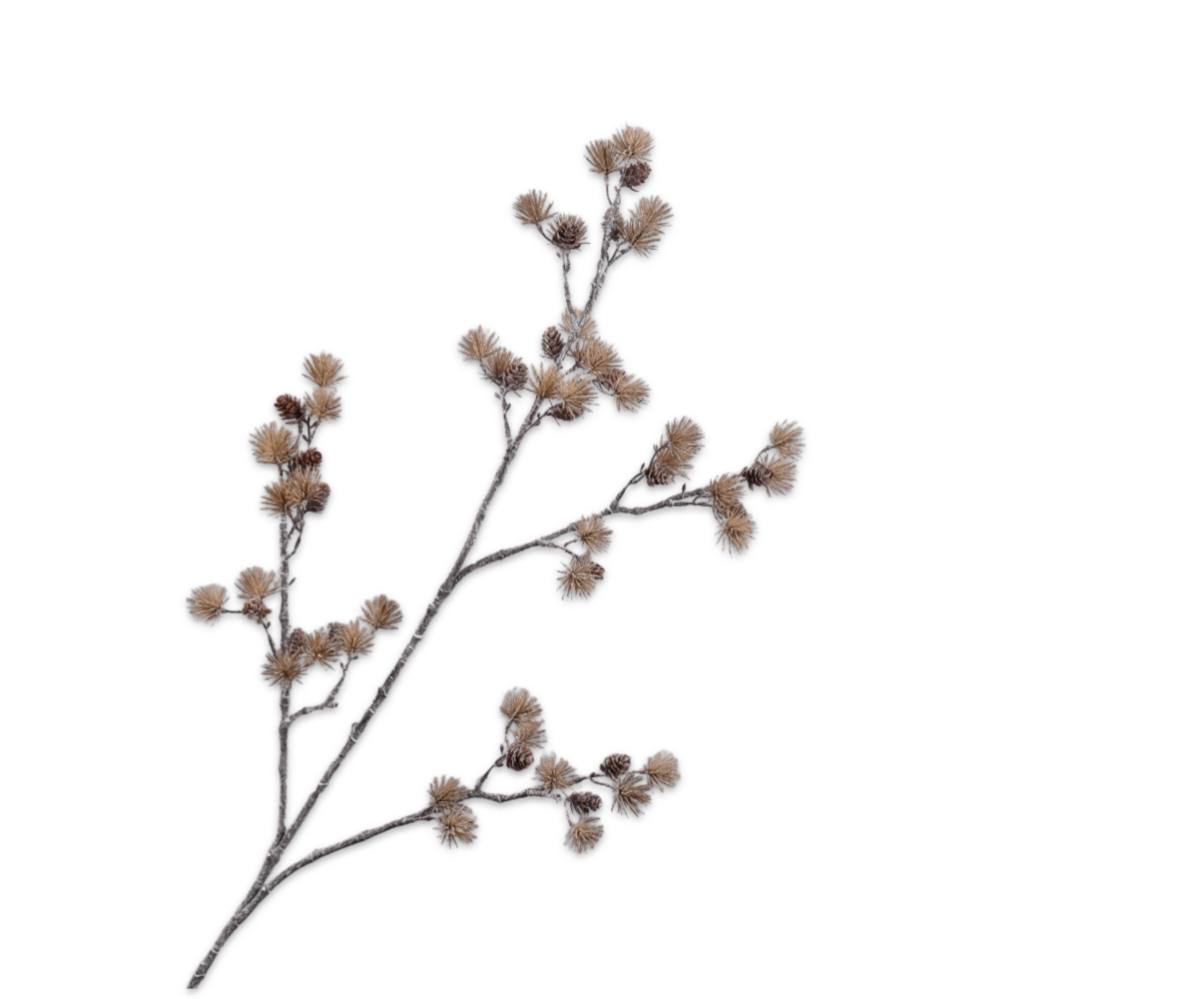 SILK-KA BRANCHE D'AIGUILLE BRN LT 114 cm SILK-KA BRANCHE D'AIGUILLE BRN LT 114 cm