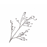 SILK-KA Pino de ramas de aguja marrón/blanco | 118 cm SILK-KA Pino de ramas de aguja marrón/blanco | 118 cm