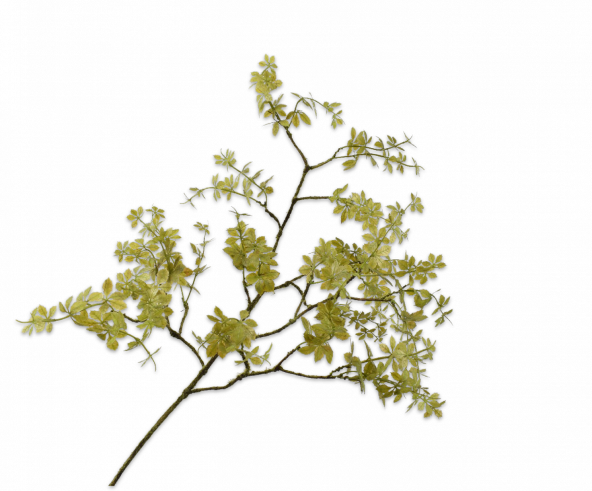 SILK-KA Bladtak Groen LT | 99 cm SILK-KA Bladtak Groen LT | 99 cm