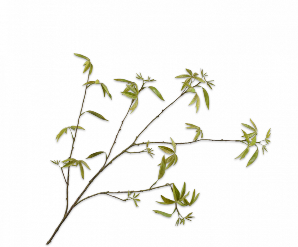 SILK-KA Ramo d'acero verde | 126 cm SILK-KA Ramo d'acero verde | 126 cm