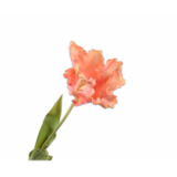 SILK-KA Tige de tulipe pêche | 71 cm