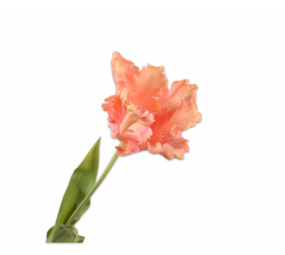 SILK-KA Tulipanstilk Fersken | 71 cm SILK-KA Tulipanstilk Fersken | 71 cm