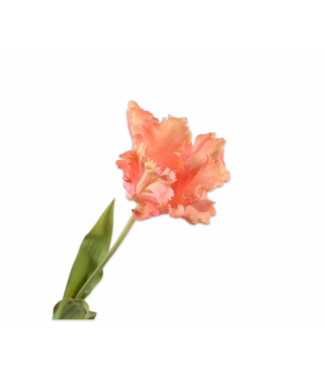 SILK-KA Stelo di tulipano color pesca | 71 cm