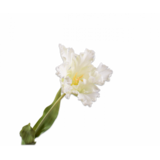 SILK-KA Tige de tulipe blanche RT | 71 cm SILK-KA Tige de tulipe blanche RT | 71 cm