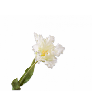 SILK-KA Tige de tulipe blanche RT | 71 cm