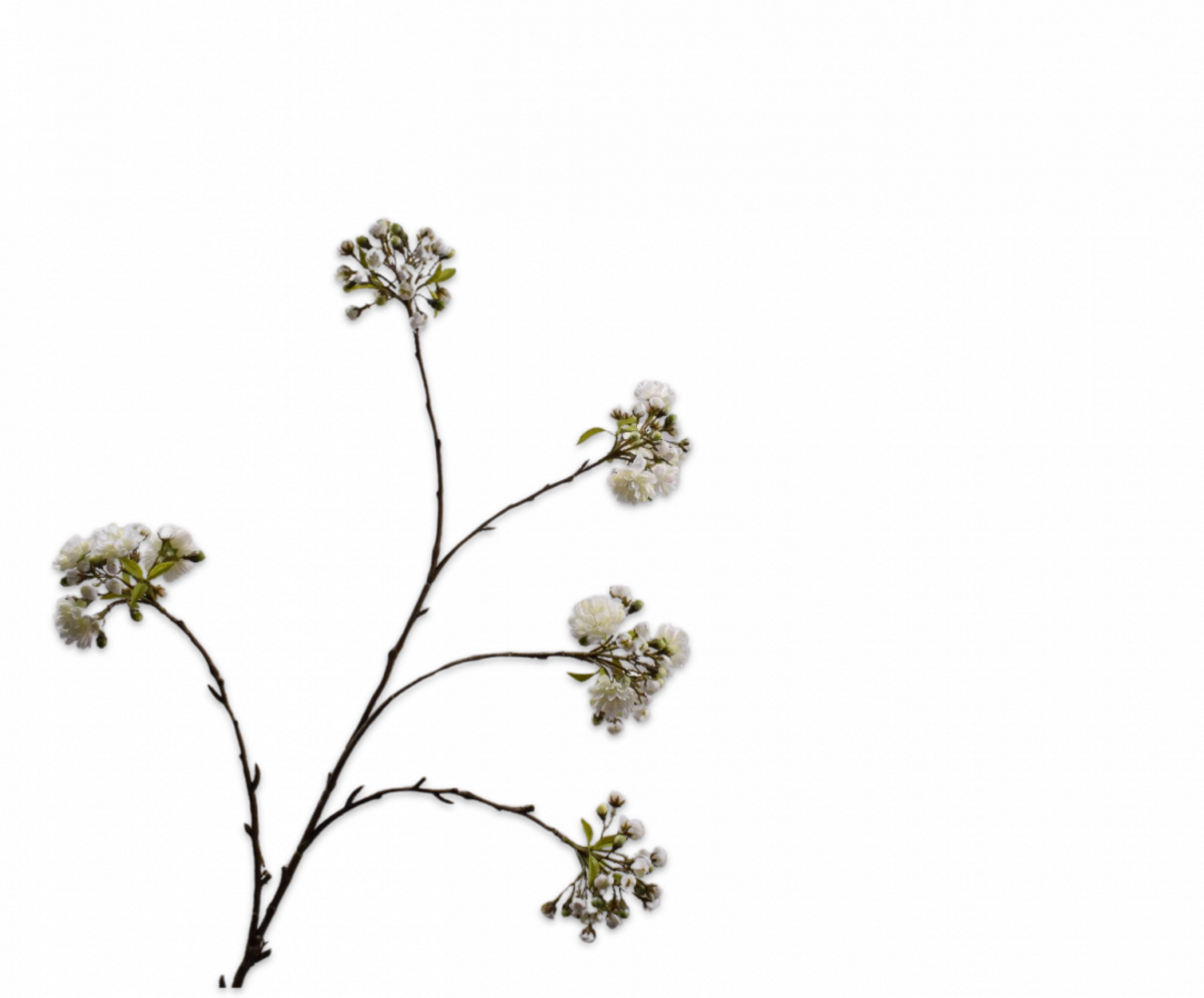 SILK-KA Rama de flor color crema | 132 cm SILK-KA Rama de flor color crema | 132 cm