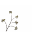 SILK-KA Blossom Branch Cream | 132 cm