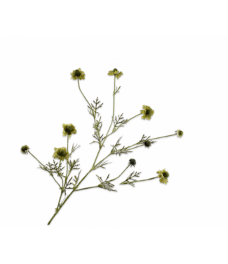 SILK-KA Branche de scabieuse verte | 127 cm