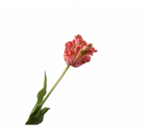 SILK-KA Tige de tulipe rose/beauté RT | 71 cm