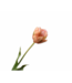 SILK-KA Tulipanstilk Fersken/Grønn | 66 cm
