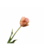 SILK-KA Tulpenstiel Pfirsich/Grün | 66 cm