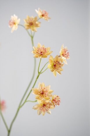 SILK-KA Astrantia Tak Perzik | 95 cm