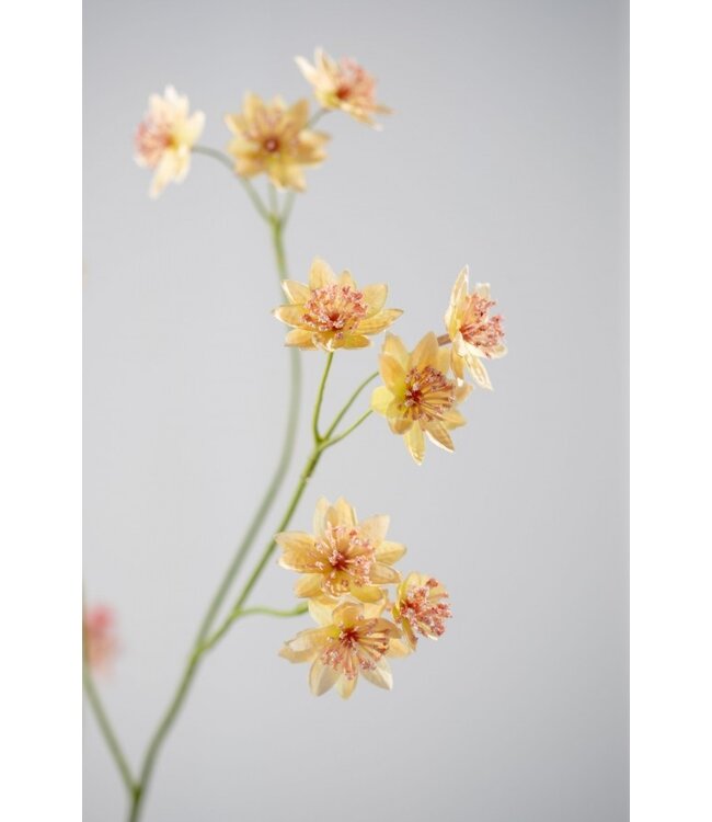 SILK-KA Rama de Astrantia Melocotón | 95 cm