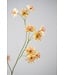 SILK-KA Astrantia Branch Peach | 95 cm