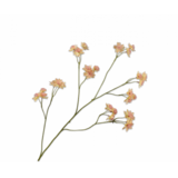 SILK-KA Branche d'Astrantia Pêcher | 95 cm SILK-KA Branche d'Astrantia Pêcher | 95 cm