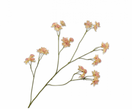 SILK-KA Astrantia Tak Perzik | 95 cm SILK-KA Astrantia Tak Perzik | 95 cm