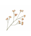 SILK-KA Astrantia Branch Peach | 95 cm