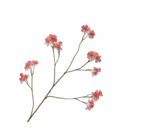 SILK-KA Astrantia Branch Pink | 95 cm