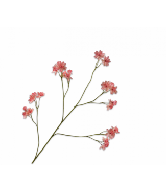 SILK-KA Astrantia Tak Roze | 95 cm