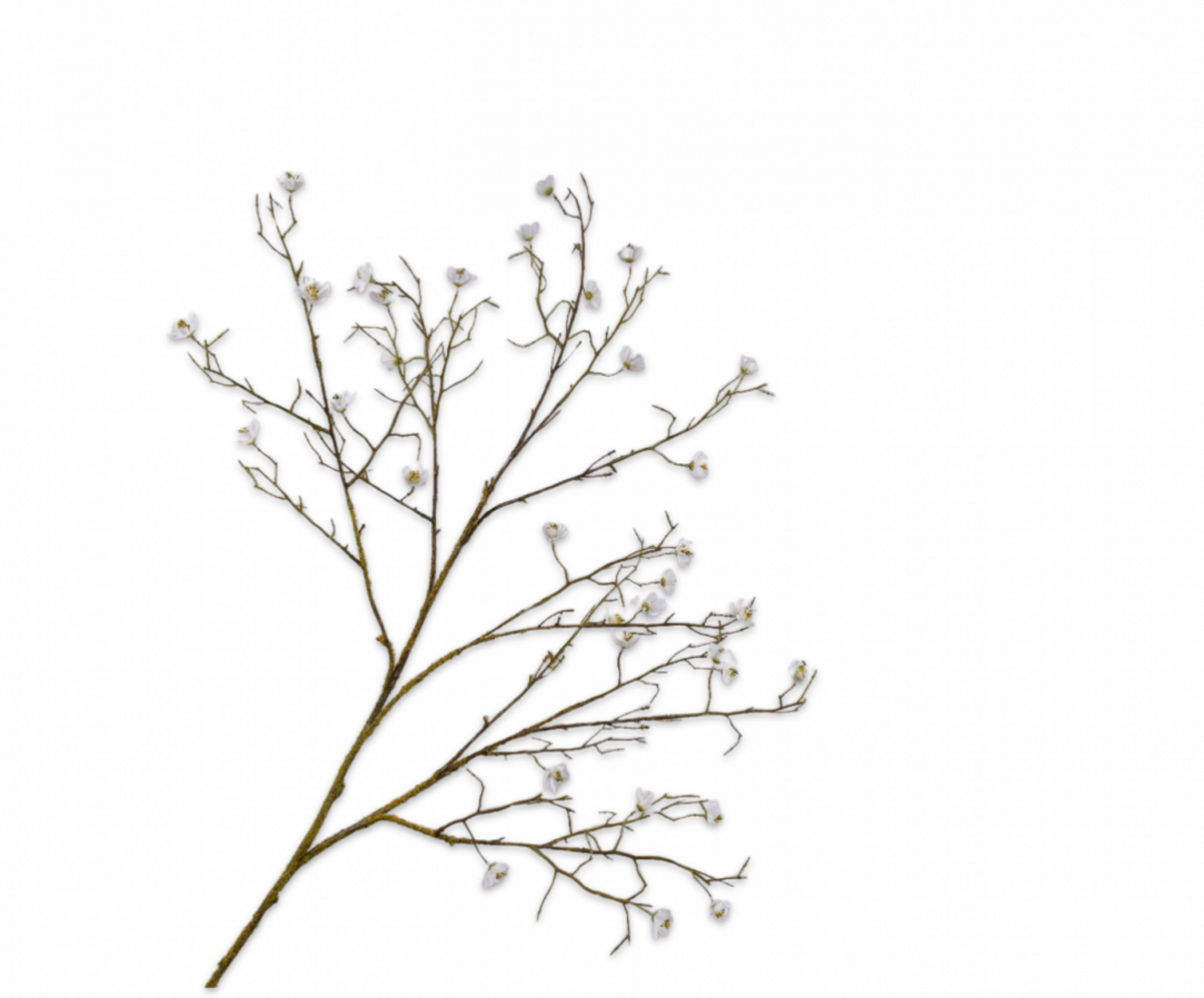 SILK-KA Blomstergren hvit | 107 cm SILK-KA Blomstergren hvit | 107 cm