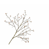 SILK-KA Pfirsichblüte | 107 cm SILK-KA Pfirsichblüte | 107 cm