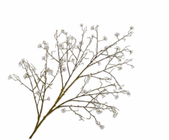SILK-KA Bloesem Tak Wit | 133 cm SILK-KA Bloesem Tak Wit | 133 cm