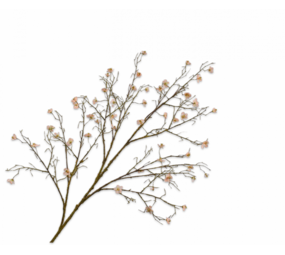 SILK-KA Bloesem Tak Perzik | 133 cm SILK-KA Bloesem Tak Perzik | 133 cm