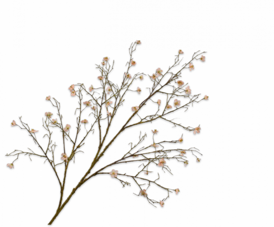 SILK-KA Ferskenblomstgren | 133 cm SILK-KA Ferskenblomstgren | 133 cm