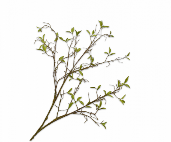SILK-KA Rama de sauce verde | 107 cm SILK-KA Rama de sauce verde | 107 cm