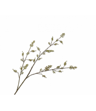 SILK-KA Bærgren Grønn | 112 cm
