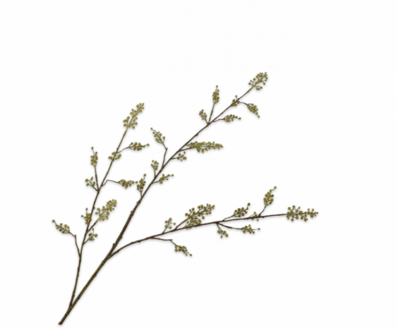 SILK-KA Bærgren Grønn | 112 cm SILK-KA Bærgren Grønn | 112 cm