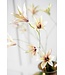 SILK-KA Rama de lirio lavanda/crema | 85 cm
