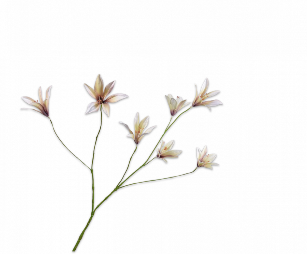 SILK-KA Liljegren Lavendel/Krem | 85 cm SILK-KA Liljegren Lavendel/Krem | 85 cm