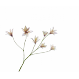 SILK-KA Liljegren Lavendel/Krem | 85 cm SILK-KA Liljegren Lavendel/Krem | 85 cm