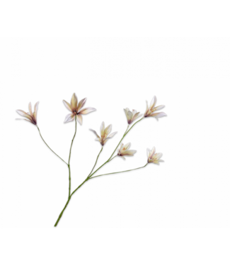 SILK-KA Liljegren Lavendel/Krem | 85 cm